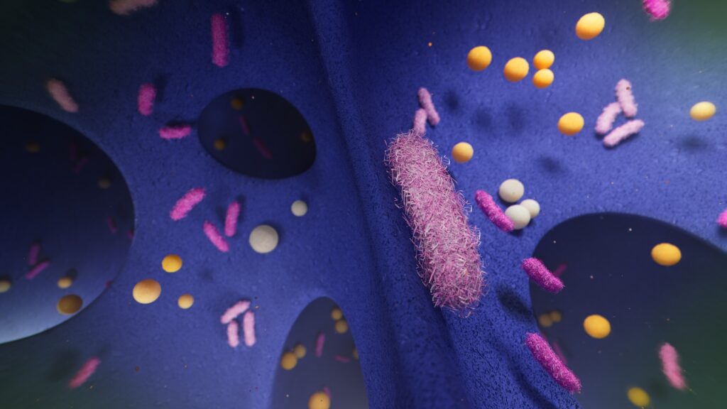 Illustration of bacteria and yeast against a blue wound dressing surface